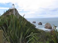 Albums/20060200-New Zealand 2006/20060313-Catlins/71